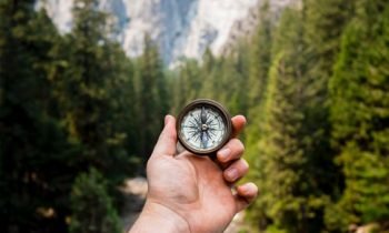 10 Tips on how to find your career path